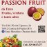 PASSION FRUIT