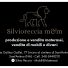 SILVIORECCIA M&M