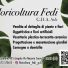 FLORICOLTURA FEDI G.D.A.