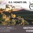 GS VIGNETI