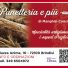 PANETTERIA E PIÙ