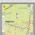 Mappa di Capannori - Riq.C (Paganico)