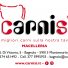 CARNI SÌ