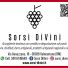 SORSI DIVINI