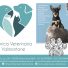 CLINICA VETERINARIA VALMONTONE