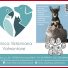 CLINICA VETERINARIA VALMONTONE
