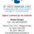 2F ASTE IMMOBILIARI