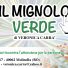 IL MIGNOLO VERDE