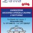 CARROZZERIA DAVID