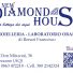 NEW DIAMOND HOUSE
