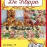 PANETTERIA DE FILIPPO