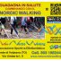 NEW NORDIC WALKING