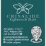 CRISALIDE