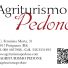 AGRITURISMO PEDONE