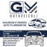 GM AUTOVEICOLI