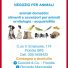 CUCCIOLI & CO.