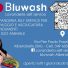 BLUWASH