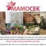 MAMOCEK