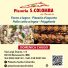 PIZZERIA S.COLOMBA