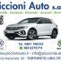 PICCIONI AUTO