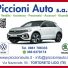 PICCIONI AUTO