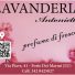 LAVANDERIA ANTONIETTA