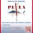 NOLEGGIO BARCHE PEVEA
