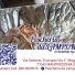PESCHERIA DA LAMPONE