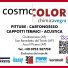 COSMOCOLOR