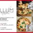 VATILLUM