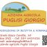 AZIENDA AGRICOLA PUGLISI GIORGIO