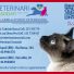 VETERINARI ASSOCIATI