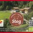 STEG