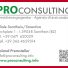 PRO CONSULTING