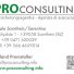 PRO CONSULTING