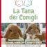 LA TANA DEI CONIGLI