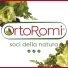 ORTOROMI