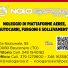 NOLOGAROIA