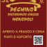 PECHINO RISTORANTE CINESE