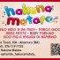 HAKUNA MATATA