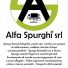 ALFA SPURGHI