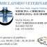 AMBULATORIO VETERINARIO DIR. SAN. DOTT. ANGELO MARINELLI