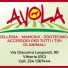 AVOLA