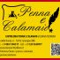 PENNA E CALAMAIO