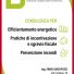 STUDIO FABIO GIACOPUZZI