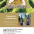 PODERE SAN PIETRO