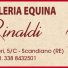 MACELLERIA EQUINA RINALDI