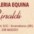 MACELLERIA EQUINA RINALDI