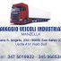 LAVAGGIO VEICOLI INDUSTRIALI MANZELLA