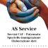 AS SERVICE